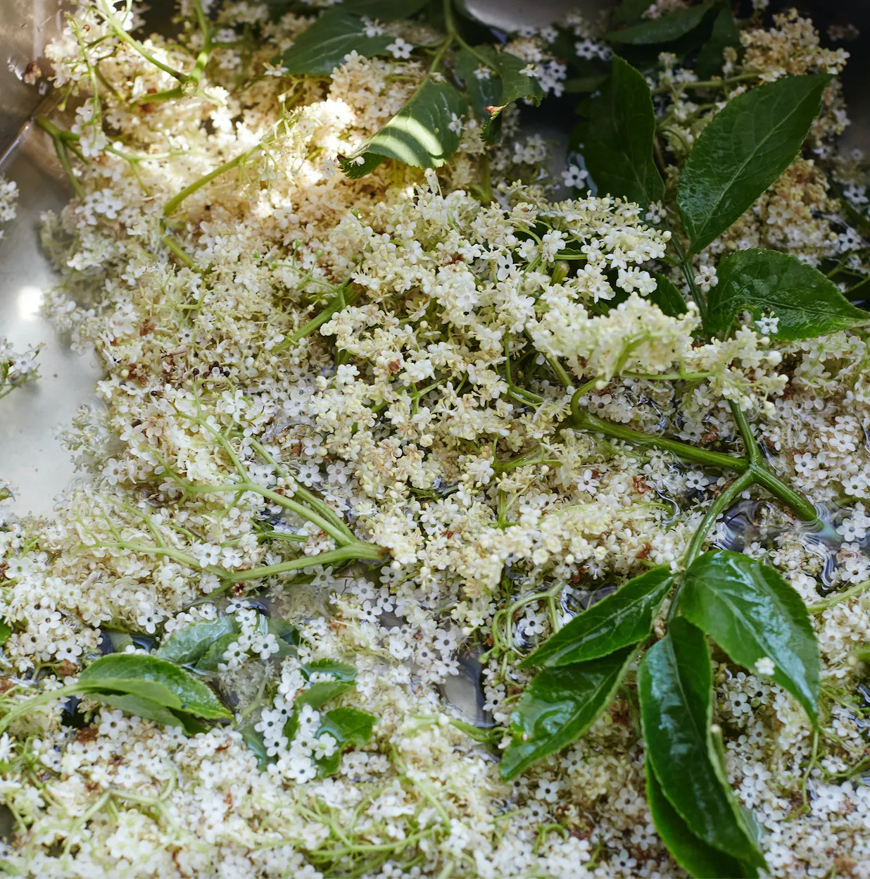 Apricot & Elderflower Jam 220g