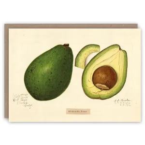 Avocado  Card