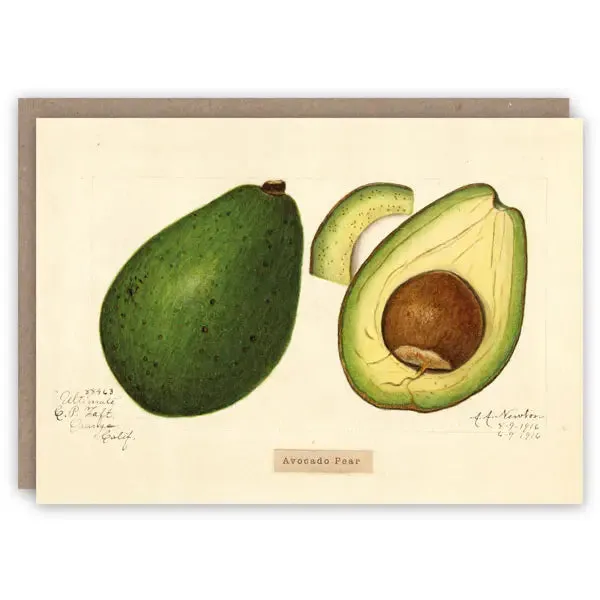 Avocado  Card
