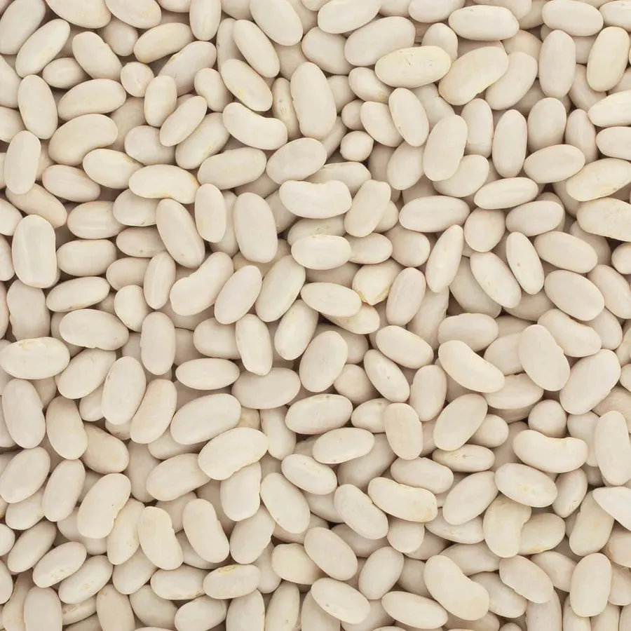 Brindisa Epic Alubia Beans 500g