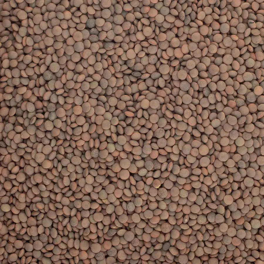 Brindisa Epic Pardina Lentils 500g