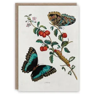 Caterpillar and Butterflies Card