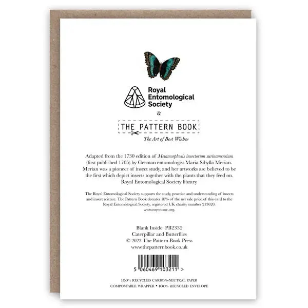 Caterpillar and Butterflies Card