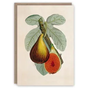 Fig Plant Card