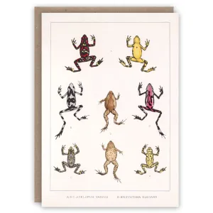 Frogs and Toads Card