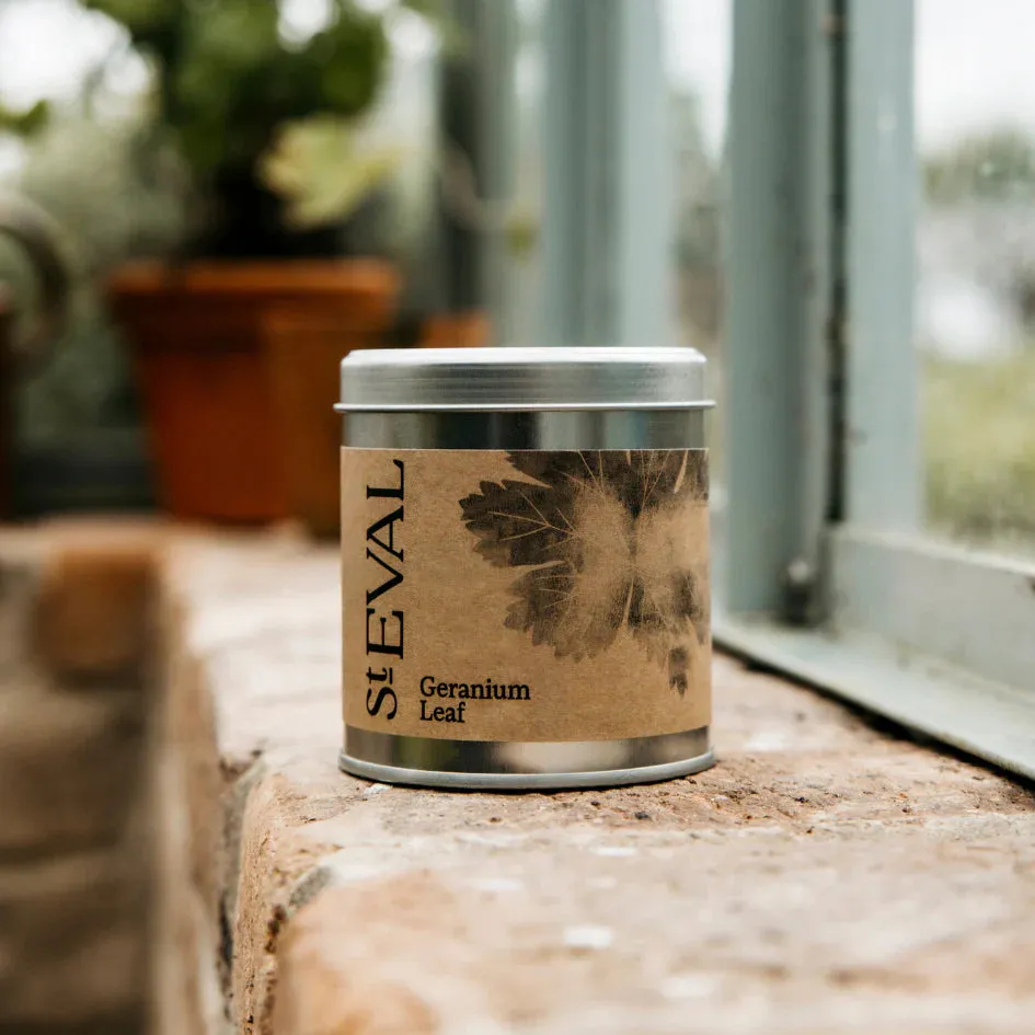 Geranium Leaf Scented Tin Candle