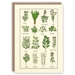 Healthy Herbs Card