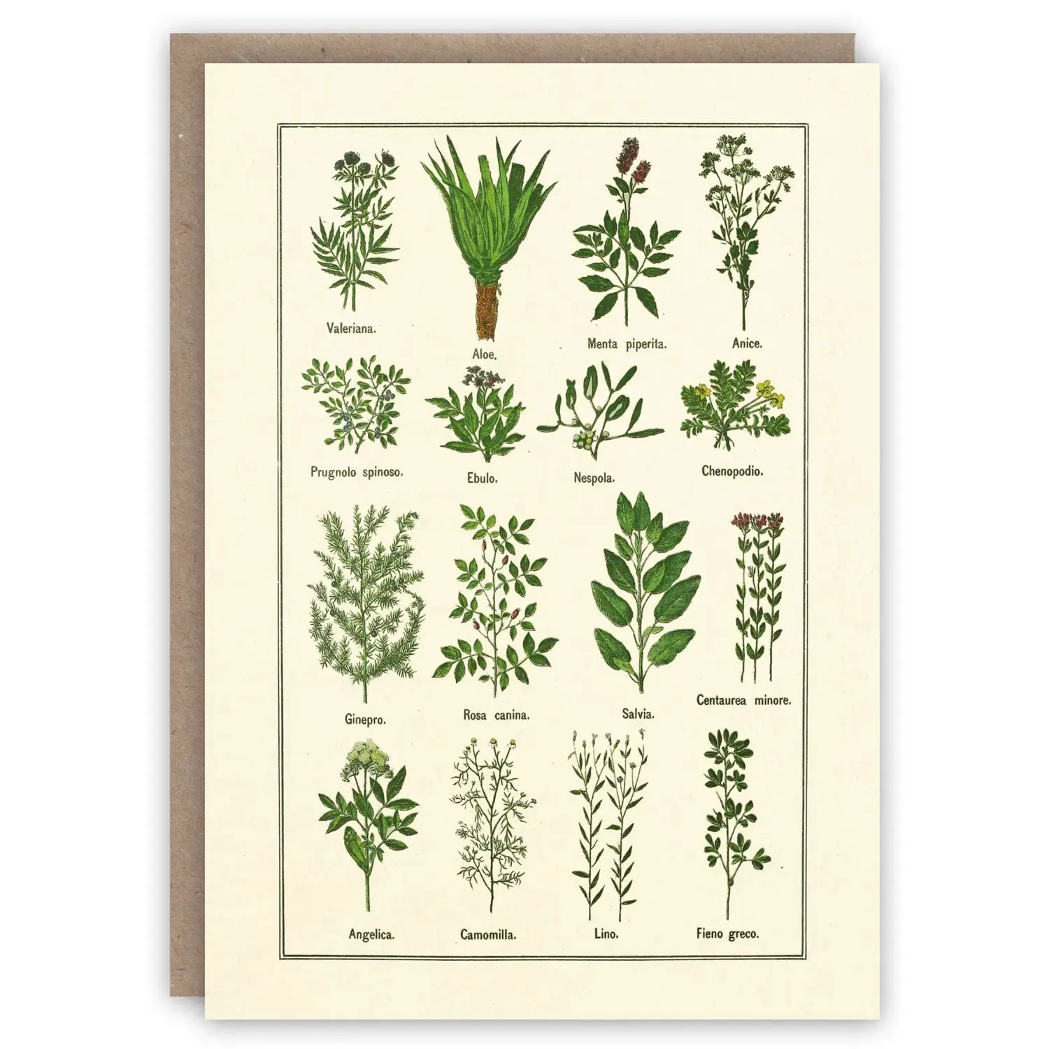 Healthy Herbs Card