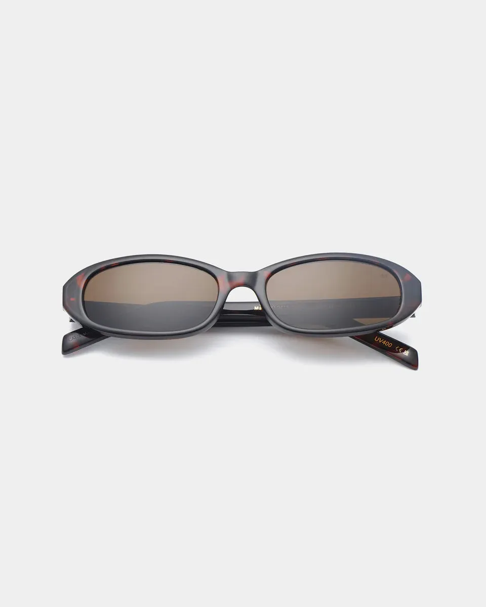 Macy Sunglasses - Demi Tortoise
