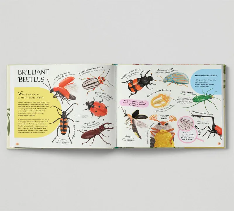 Minibeasts: Under the Magnifying Glass