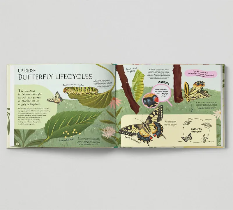 Minibeasts: Under the Magnifying Glass
