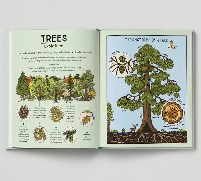 Nature Explained