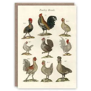 Poultry Breeds Card