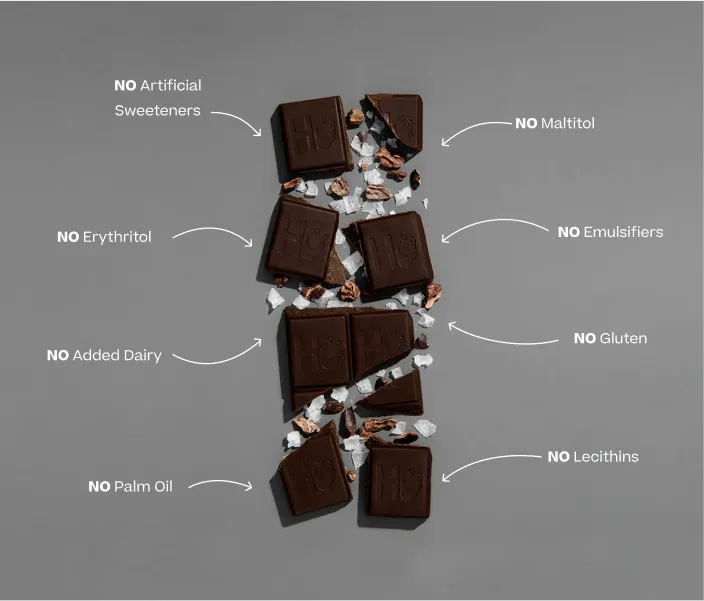Salty Organic 70% Dark Chocolate Bar 60g
