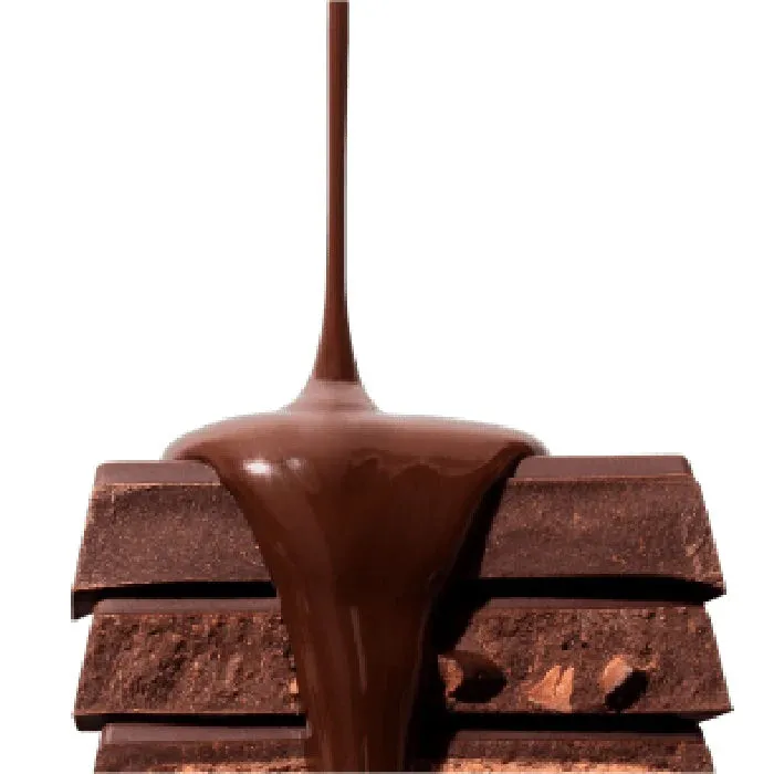 Salty Organic 70% Dark Chocolate Bar 60g
