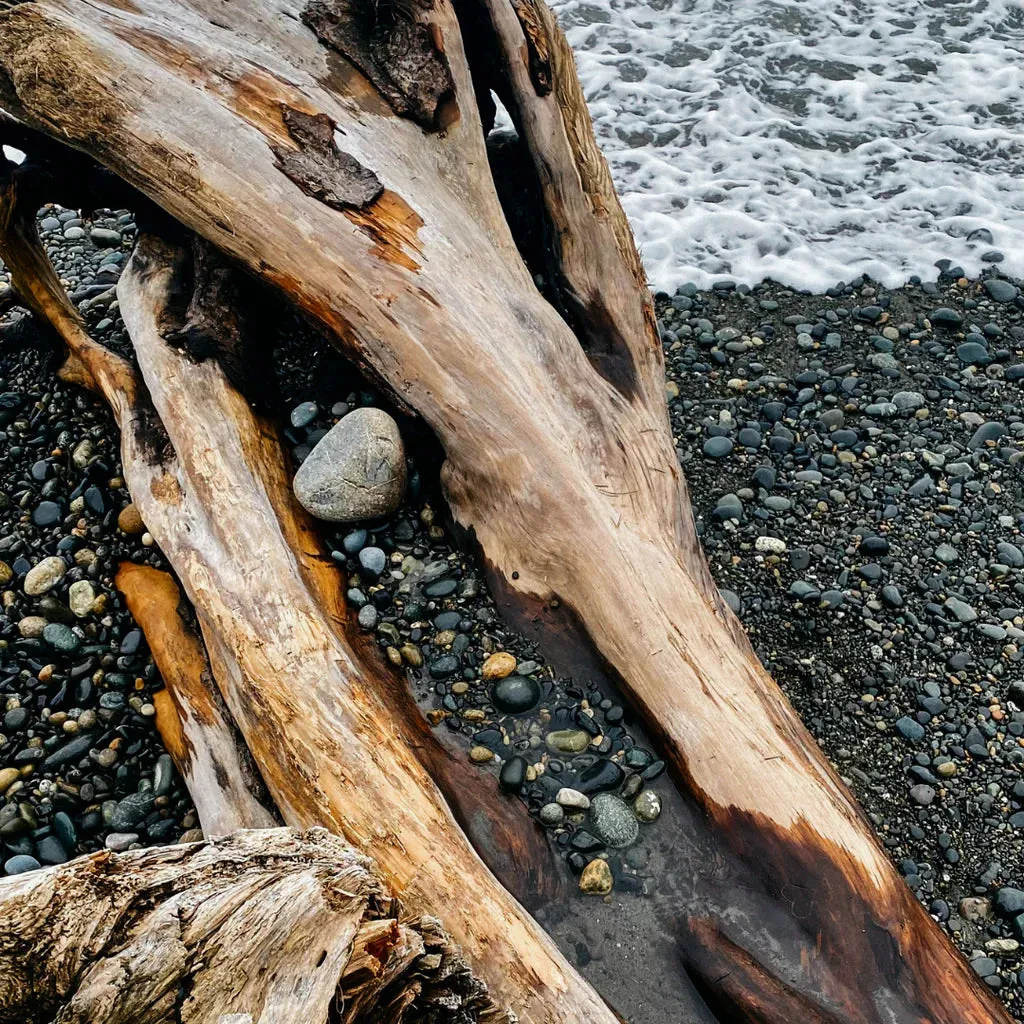 Sea Moss & Driftwood Scented Tealights