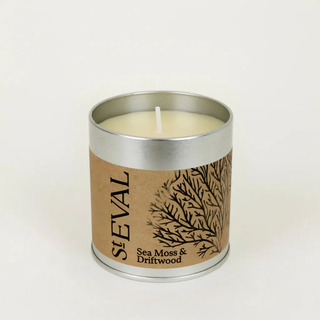 Sea Moss & Driftwood Scented Tin Candle