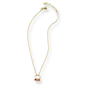 Sentiment Carnelian Citrine Necklace Gold Plated