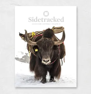 Sidetracked Volume 31