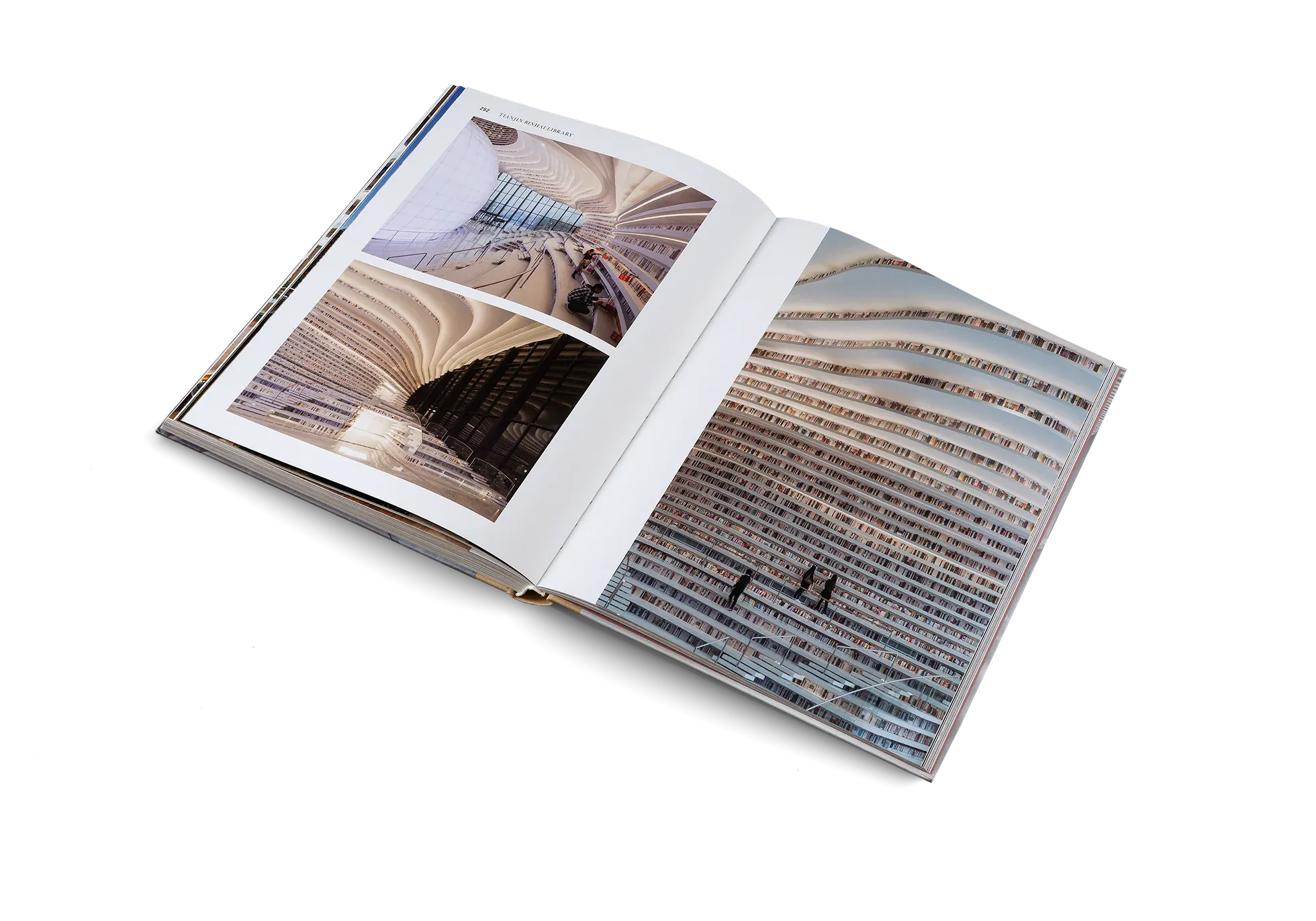 Temples of Books: Magnificent Libraries Around the World