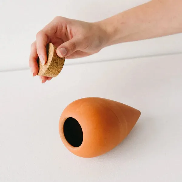 Terracotta Plant Hydrating Olla - Natural Plant Watering System