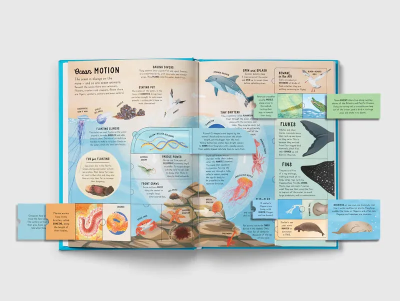 The Lift-the-Flap Encyclopaedia of Oceans - 200 Flaps to Explore!