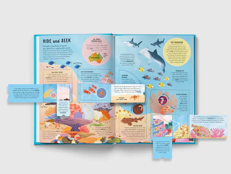 The Lift-the-Flap Encyclopaedia of Oceans - 200 Flaps to Explore!