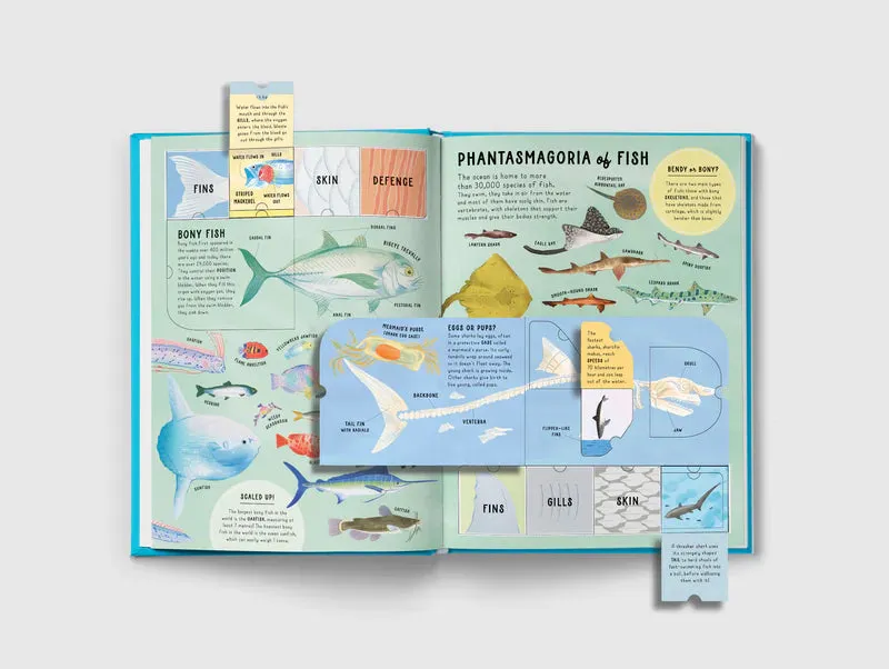 The Lift-the-Flap Encyclopaedia of Oceans - 200 Flaps to Explore!