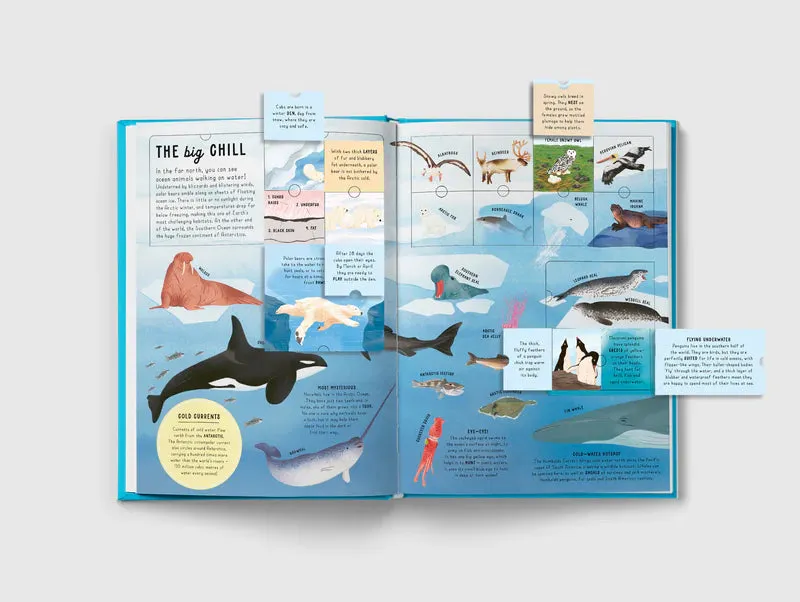 The Lift-the-Flap Encyclopaedia of Oceans - 200 Flaps to Explore!