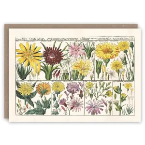 Wild Flowers Card