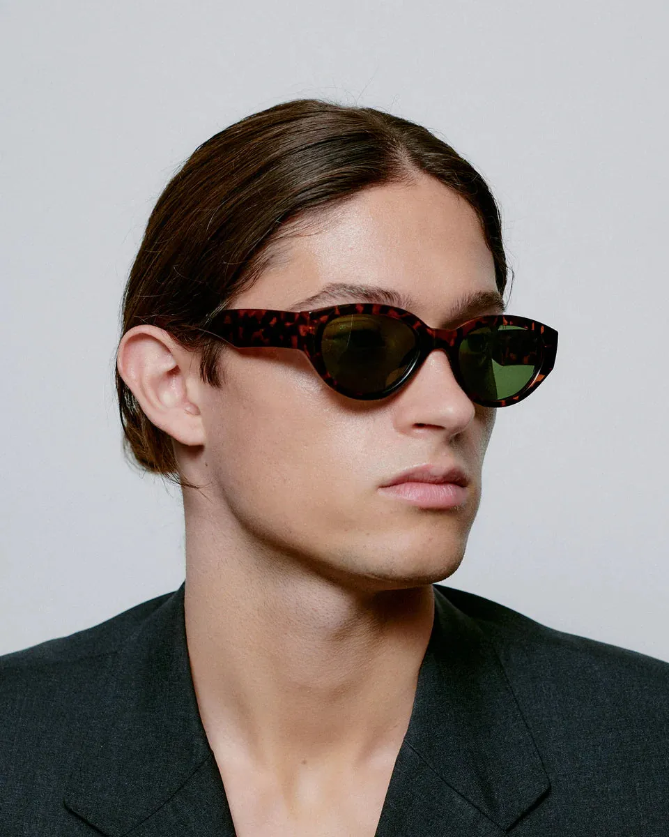 Winnie Sunglasses - Demi Tortoise
