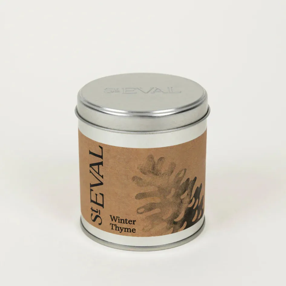 Winter Thyme Scented Tin Candle